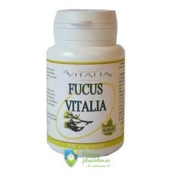 Vitalia Pharma Fucus 350mg 50 capsule