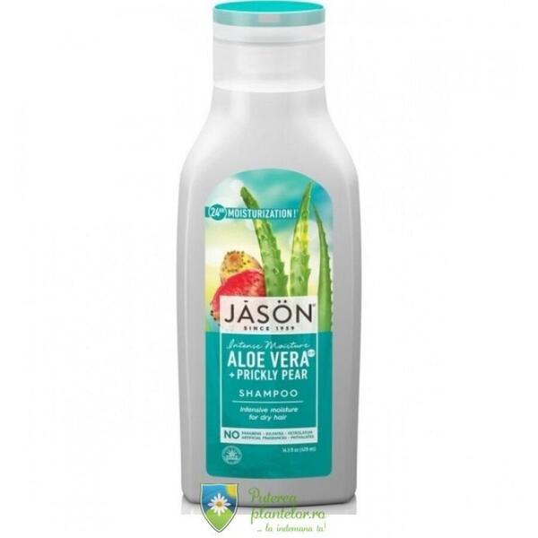 Jason Sampon hidratant cu aloe vera 84% par uscat 473 ml