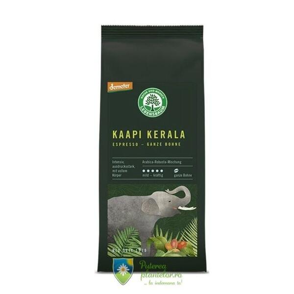 Lebensbaum Cafea Boabe Bio Macinata Kaapi Kerala 250 gr