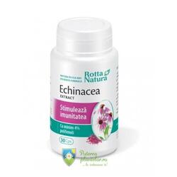 Extract Echinacea 30 capsule