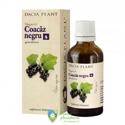 Dacia Plant Muguri de Coacaz negru Gemoderivat 50 ml