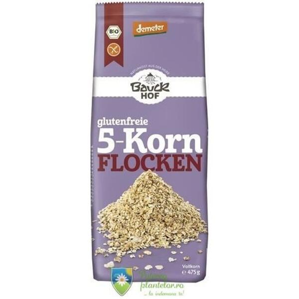 Bauck Hof Fulgi din 5 cereale fara gluten 475 gr