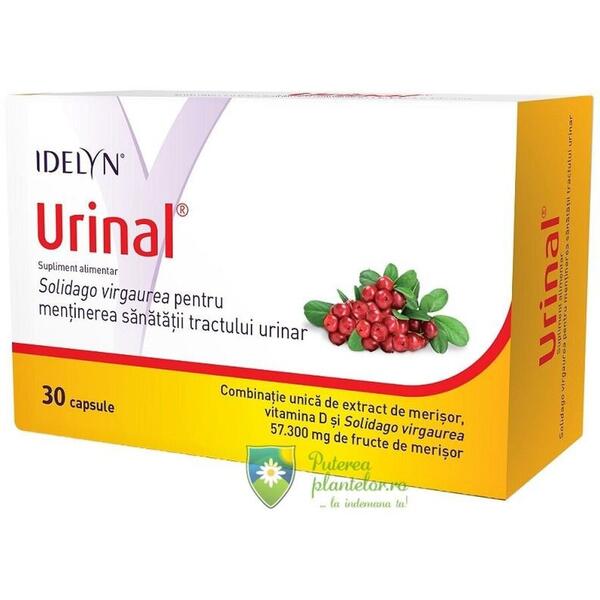 Walmark Urinal 30 capsule