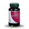 Dvr Pharm Dvr Gastric 60 capsule