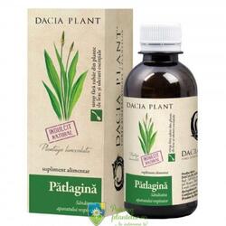 Dacia Plant Patlagina Sirop 200 ml