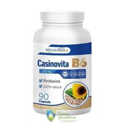 Casinovita B6 90 capsule