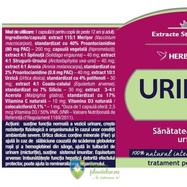 Herbagetica UriMer Forte 30 capsule + 30 capsule 1/2 Gratuit