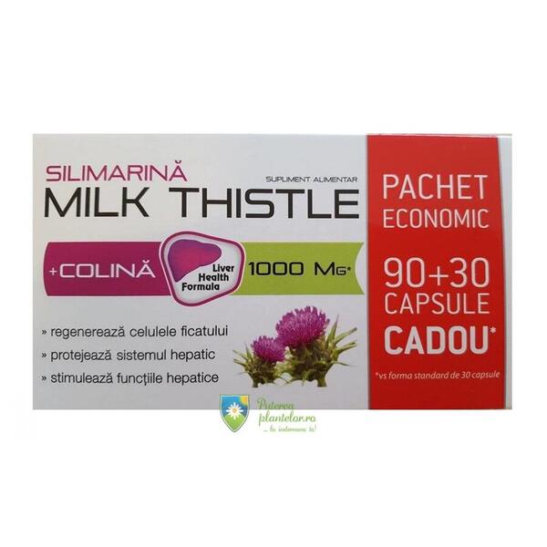 Zdrovit Silimarina Milk Thistle + Colina 90 cps+30 cps Cadou