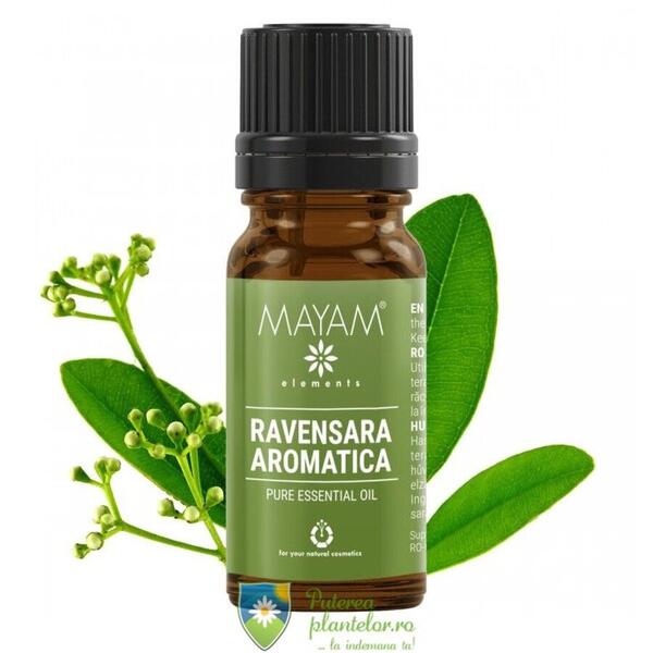 Mayam Ellemental Ulei esential de Ravensara aromatica 10 ml