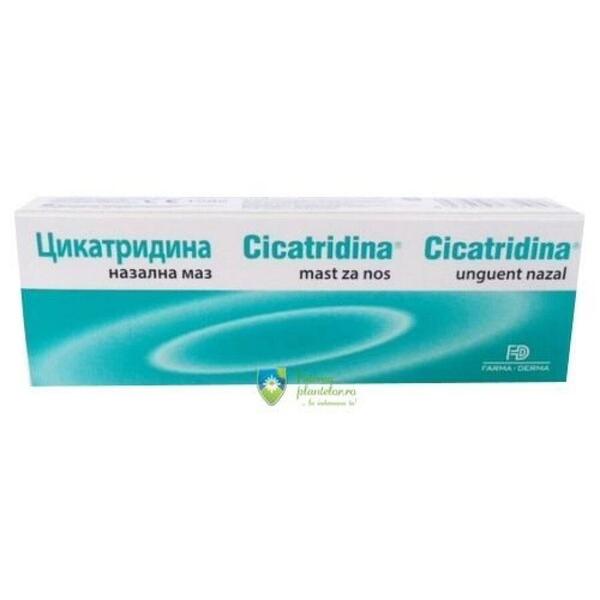Naturpharma Cicatridina unguent nazal 15 gr