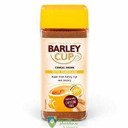 Bautura instant cu Papadie Barley Cup 100 gr