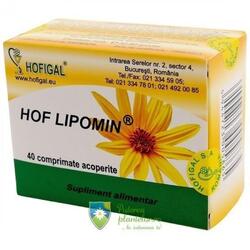 Hofigal Hof Lipomin 40 comprimate