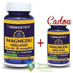 Magneziu Organic 60 cps+10 cps Cadou