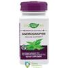 Secom Andrographis 60 capsule