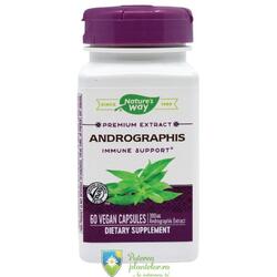 Andrographis 60 capsule