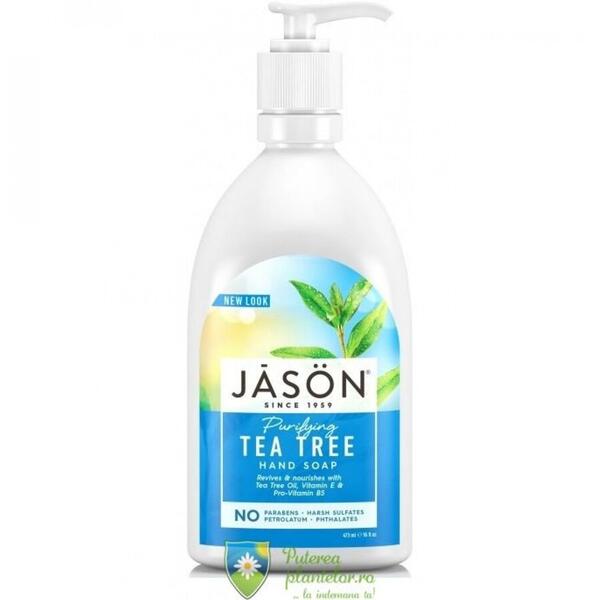 Jason Sapun lichid cu Tea Tree pentru fata si maini 480 ml