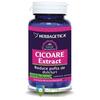 Herbagetica Cicoare Extract 60 capsule