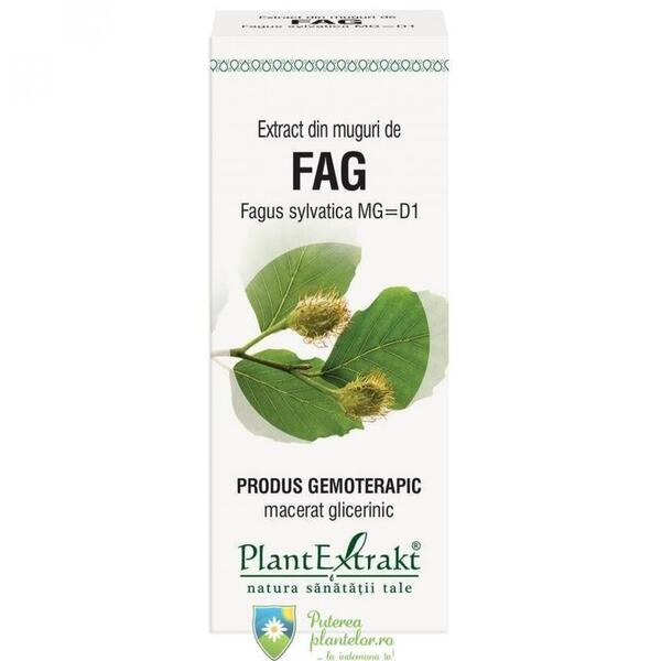 PlantExtrakt Extract din Muguri de Fag 50 ml