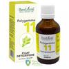 PlantExtrakt Polygemma 11 Ficat detoxifiere 50 ml