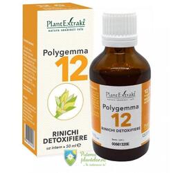 PlantExtrakt Polygemma 12 Rinichi detoxifiere 50 ml