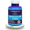 Herbagetica Articular Stem 120 capsule