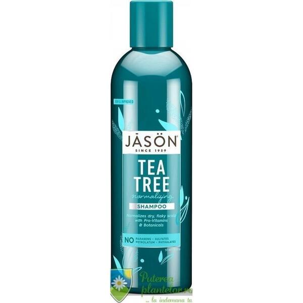 Jason Sampon Tratament cu Tea tree pt par deteriorat 517 ml