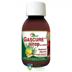 Gascure Sirop 100 ml