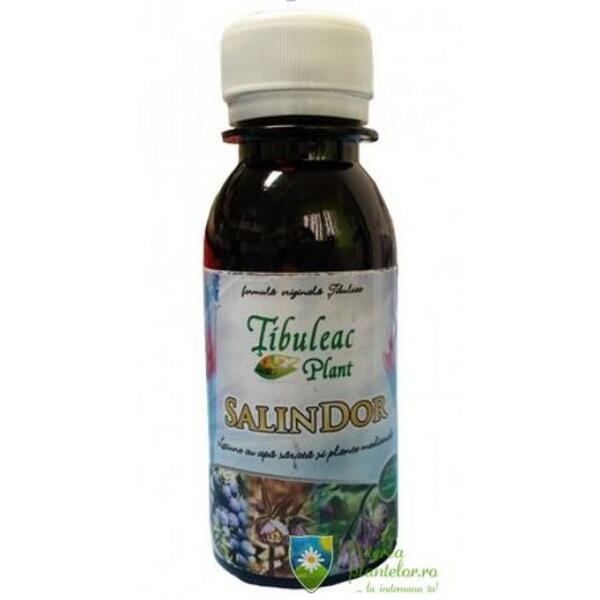 Tibuleac Salindor lotiune apa sarata + plante medicinale 100 ml
