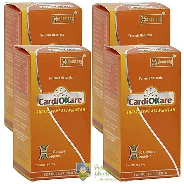 Darmaplant CardioKare 60 capsule Pachet 4 bc