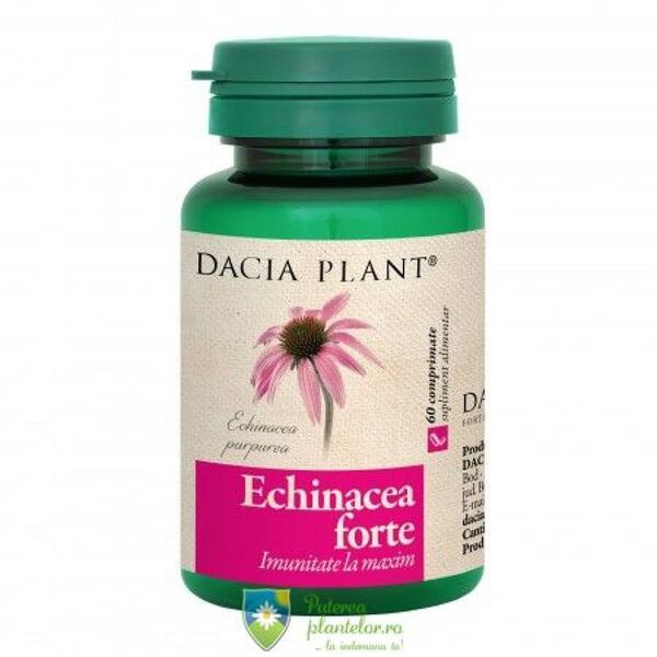Dacia Plant Echinacea forte 60 comprimate