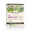 Dorel Plant Gineco Plant Ceai Uz intern 150 gr