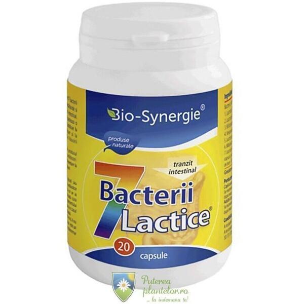 Bio Synergie 7 Bacterii Lactice 20 capsule