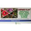Elzin Plant Carpimed Plant supozitoare 10*1,5 gr