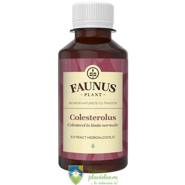 Faunus Plant Tinctura Colesterolus 200 ml