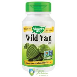 Wild Yam 425mg 100 capsule