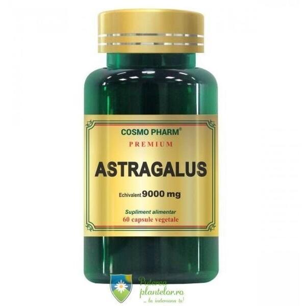 Cosmo Pharm Astragalus Extract 450mg Premium 60 capsule vegetale