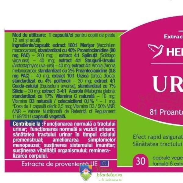 Herbagetica UriMer Akut 30 capsule