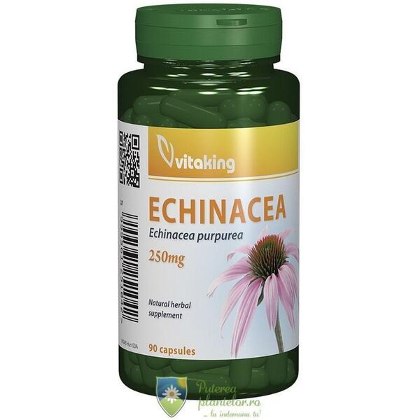 Vitaking Echinacea 250mg 90 capsule