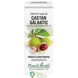 PlantExtrakt Extract din Muguri de Castan Salbatic 50 ml