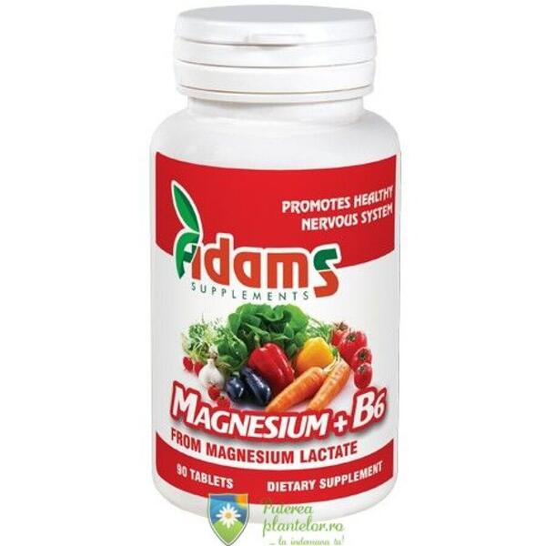 Adams Vision Magneziu+B6 90 tablete