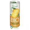 Biosens Suc de Portocale Eco 250 ml