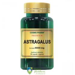 Astragalus Extract 450mg Premium 30 capsule vegetale